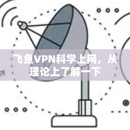 飞鱼VPN科学上网，从理论上了解一下