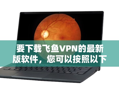 要下载飞鱼VPN的最新版软件，您可以按照以下步骤进行