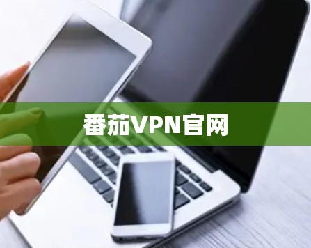 番茄VPN官网