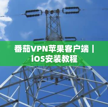 番茄VPN苹果客户端｜iOS安装教程