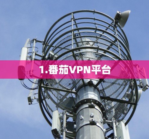 1.番茄VPN平台