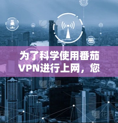为了科学使用番茄VPN进行上网，您可以按照以下步骤进行