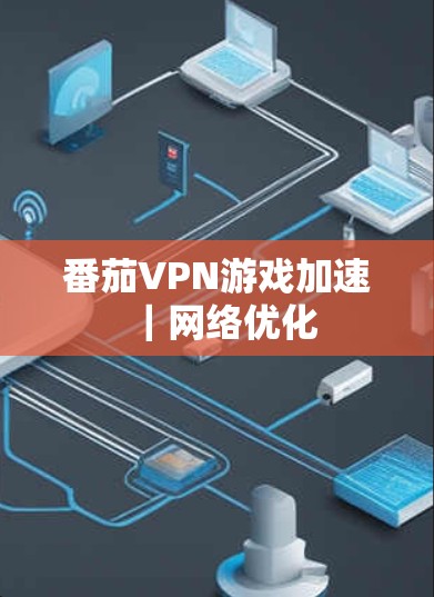 番茄VPN游戏加速｜网络优化