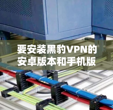 要安装黑豹VPN的安卓版本和手机版本，步骤如下