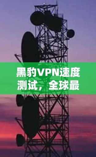黑豹VPN速度测试，全球最强大的VPN服务之一