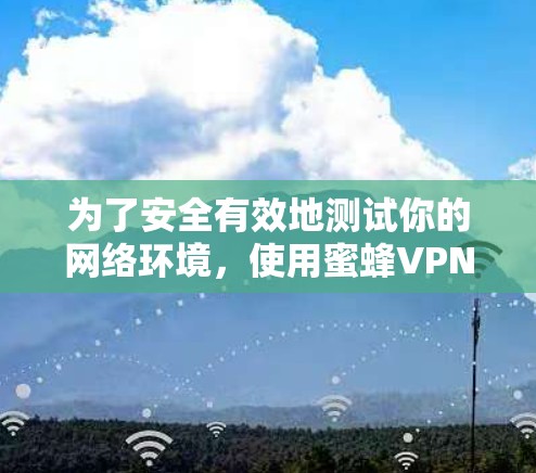 为了安全有效地测试你的网络环境，使用蜜蜂VPN进行测试需要遵循以下步骤。以下是详细的指南
