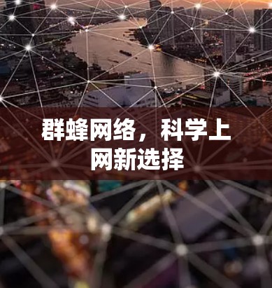 群蜂网络，科学上网新选择