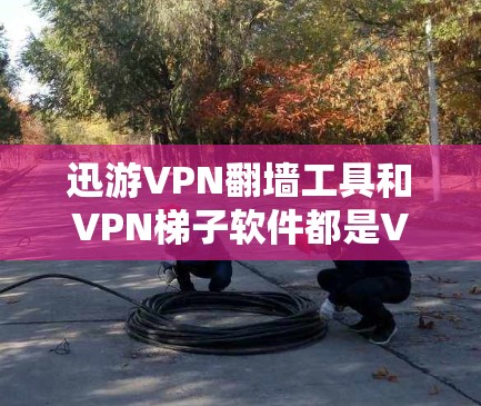 迅游VPN翻墙工具和VPN梯子软件都是VPN解决方案的常用工具，各有其独特的功能和适用场景。下面将从功能、适用场景以及相互作用等方面进行对比分析，帮助您更好地选择合适的VPN解决方案