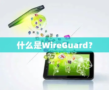什么是WireGuard？