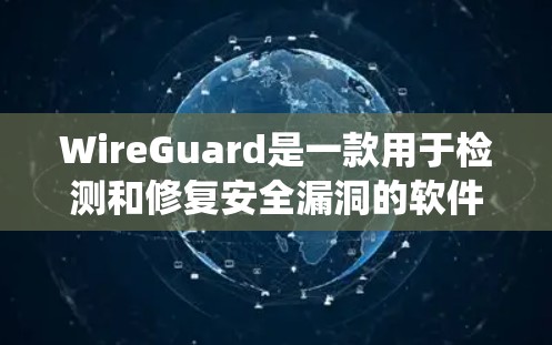 WireGuard是一款用于检测和修复安全漏洞的软件工具，适用于Windows和Mac系统。以下是详细的使用步骤和注意事项