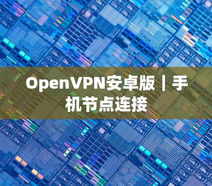OpenVPN安卓版｜手机节点连接