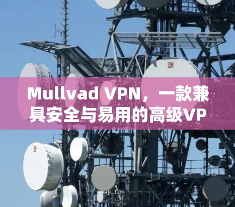 Mullvad VPN，一款兼具安全与易用的高级VPN选择