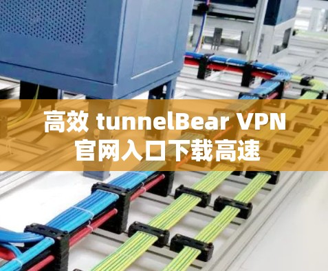 高效 tunnelBear VPN 官网入口下载高速