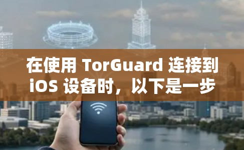 在使用 TorGuard 连接到iOS 设备时，以下是一步步的指南