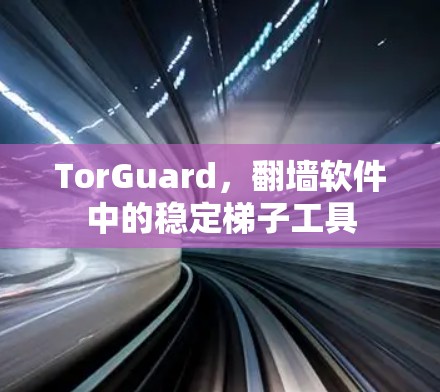 TorGuard，翻墙软件中的稳定梯子工具
