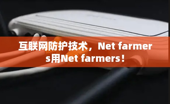 互联网防护技术，Net farmers用Net farmers！