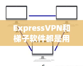 ExpressVPN和梯子软件都是用于构建和管理VPN连接的工具，但它们有不同的服务和使用方式。以下是对它们的详细比较