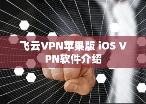 飞云VPN苹果版 iOS VPN软件介绍