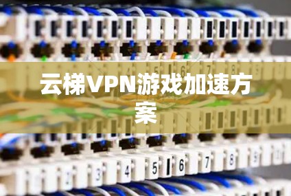 云梯VPN游戏加速方案