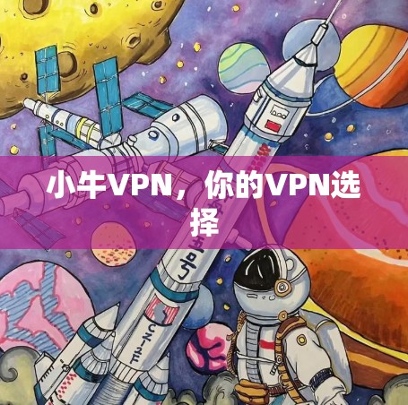 小牛VPN，你的VPN选择