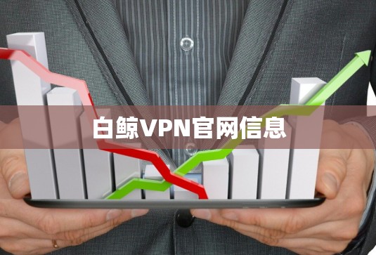 白鲸VPN官网信息