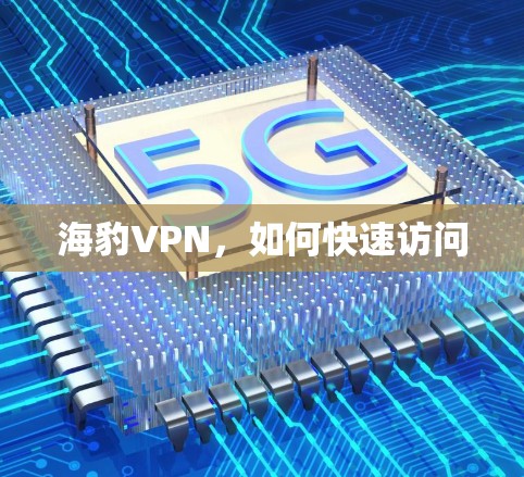 海豹VPN，如何快速访问