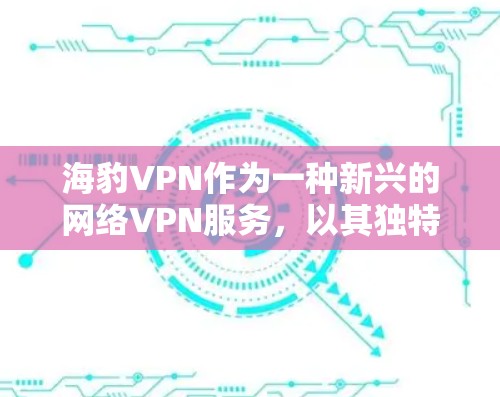 海豹VPN作为一种新兴的网络VPN服务，以其独特的技术和安全措施而备受关注。以下是对海豹VPN科学上网的详细分析