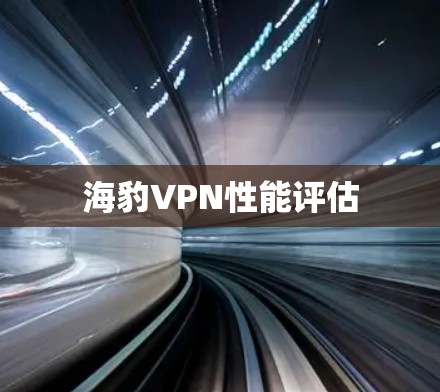 海豹VPN性能评估