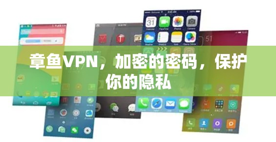 章鱼VPN，加密的密码，保护你的隐私