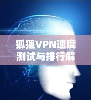 狐狸VPN速度测试与排行解析