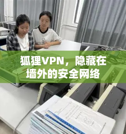 狐狸VPN，隐藏在墙外的安全网络
