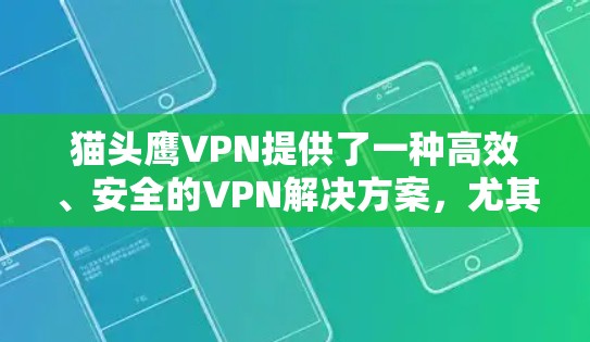 猫头鹰VPN提供了一种高效、安全的VPN解决方案，尤其适用于需要快速访问高速数据或实时视频通话的用户。以下是关于猫头鹰VPN机场节点和高速服务器的详细信息