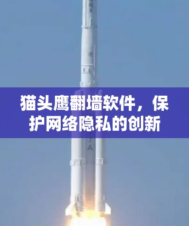 猫头鹰翻墙软件，保护网络隐私的创新解决方案