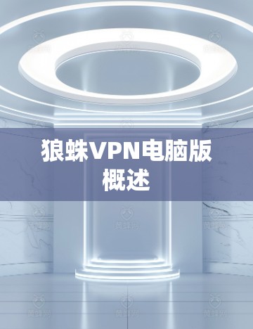 狼蛛VPN电脑版概述