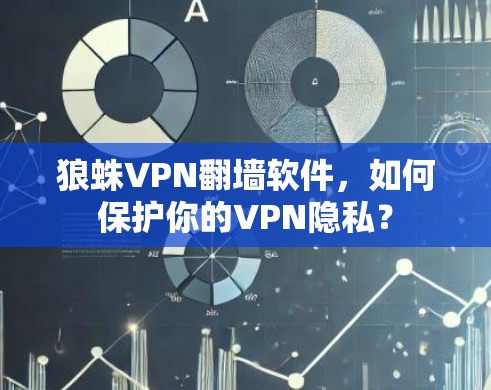 狼蛛VPN翻墙软件，如何保护你的VPN隐私？