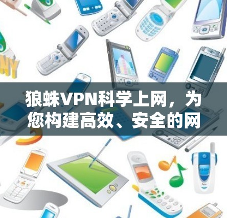 狼蛛VPN科学上网，为您构建高效、安全的网络访问体验