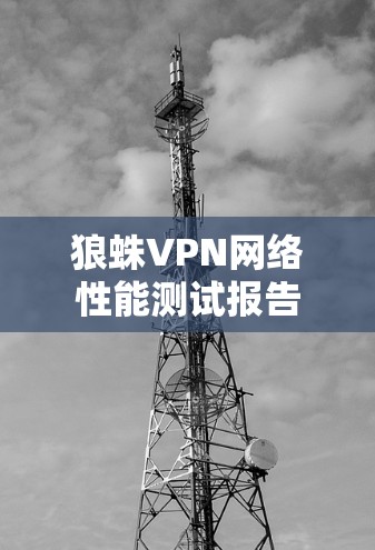 狼蛛VPN网络性能测试报告