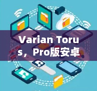 Varian Torus，Pro版安卓VPN工具，安全可靠，助力全球VPN