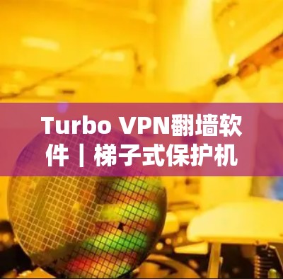 Turbo VPN翻墙软件｜梯子式保护机制