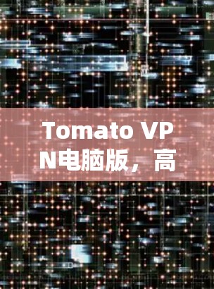 Tomato VPN电脑版，高效安全的VPN解决方案