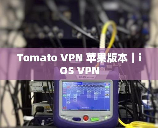 Tomato VPN 苹果版本｜iOS VPN