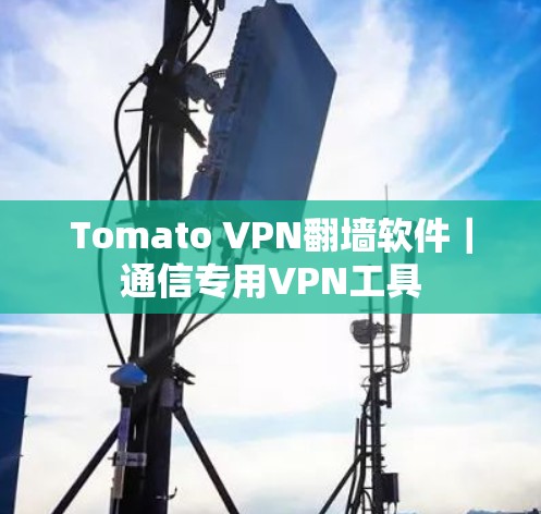 Tomato VPN翻墙软件｜通信专用VPN工具