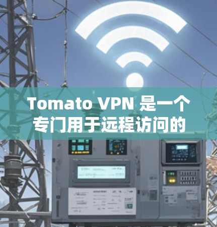 Tomato VPN 是一个专门用于远程访问的VPN软件，尤其适合在需要长时间访问或需要控制访问者身份的用户中使用。以下是对Tomato VPN的总结和建议