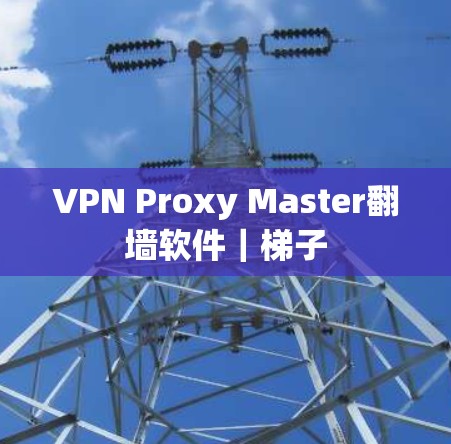 VPN Proxy Master翻墙软件｜梯子
