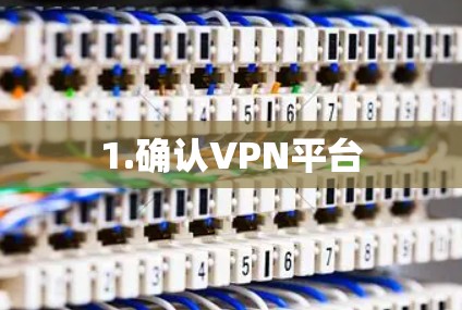 1.确认VPN平台