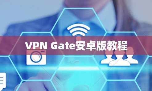 VPN Gate安卓版教程