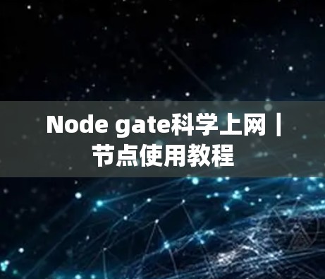 Node gate科学上网｜节点使用教程