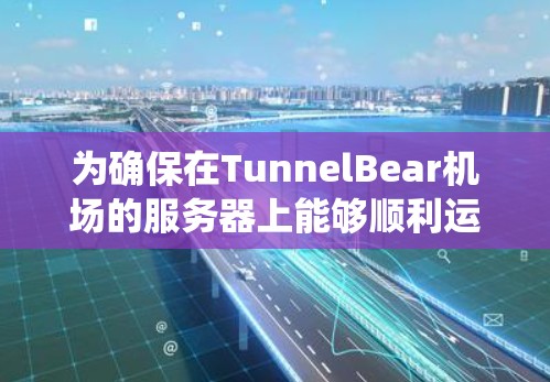 为确保在TunnelBear机场的服务器上能够顺利运行，我们需要为每个服务器类型选择合适的配置。这里我们从操作系统、硬件、防火墙、服务器类型、虚拟化、配置、优化和安全设置等方面进行详细推荐