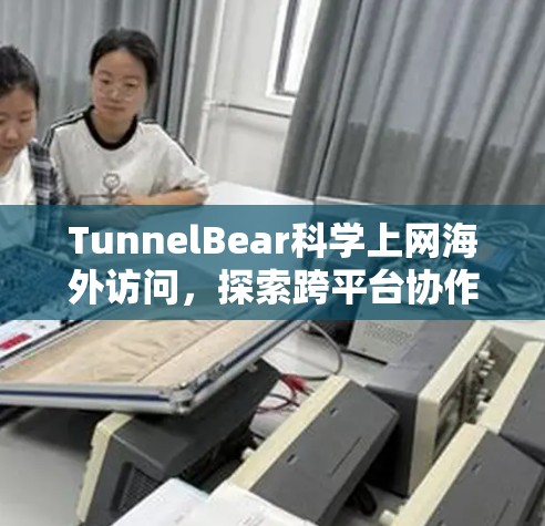 TunnelBear科学上网海外访问，探索跨平台协作的科技奇迹