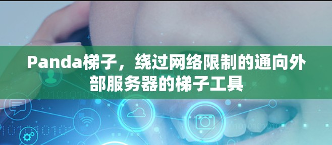 Panda梯子，绕过网络限制的通向外部服务器的梯子工具